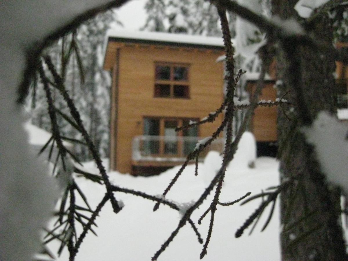 Forest Chalet Resort Felizitas San Felice  Exterior foto